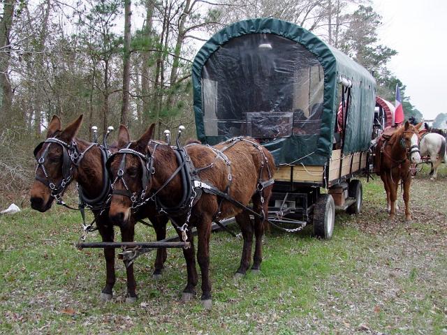 089-Wagon & Mules.jpg